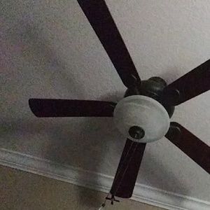 Meet your Posher, Celina